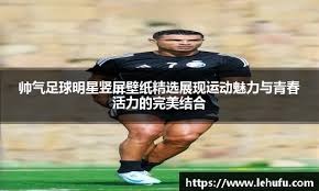 综合度假区的消费结构分析（综合度假区消费构成解析）