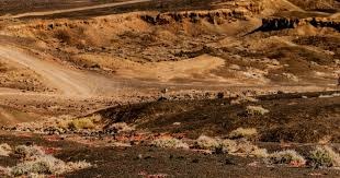 纽约洋基在 2000 年世界大赛“地铁大战”中击败大都会，完成世界大赛三连霸伟业